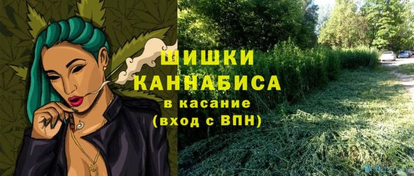 соль ск Ладушкин