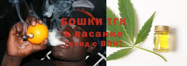 тгк Лагань