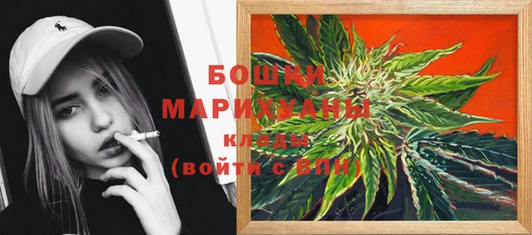 тгк Лагань