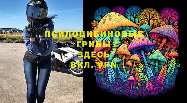 тгк Лагань